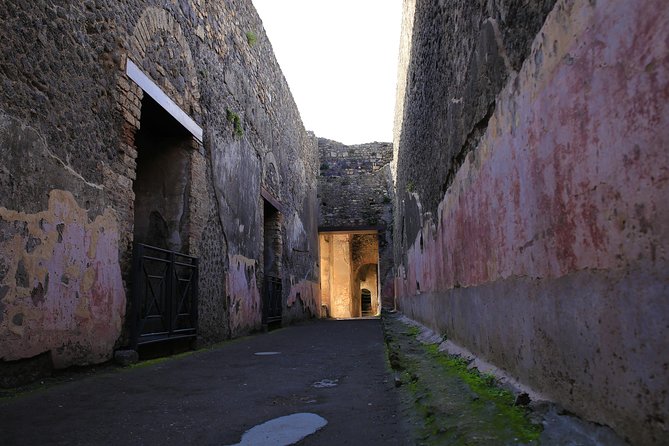 Small Group Guided Tour of Pompeii Led by an Archaeologist - Additional Tour Information