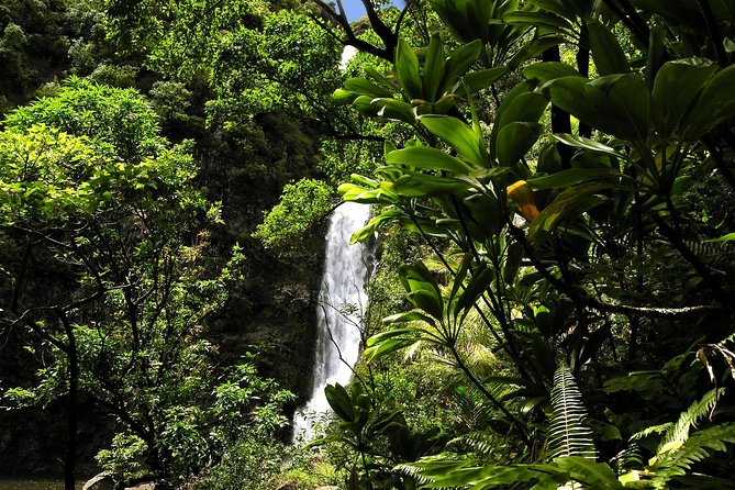 Small-Group Road to Hana Luxury Tour - Additional Information