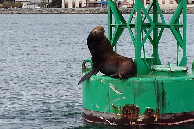 Small-Group Sunset Sailing Experience on San Diego Bay - Cancellation Policy