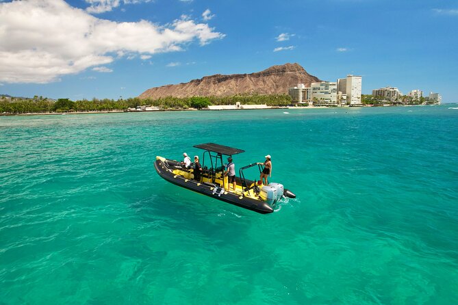 Snorkel & Swim With Turtles! Minutes From Waikiki - Customer Reviews