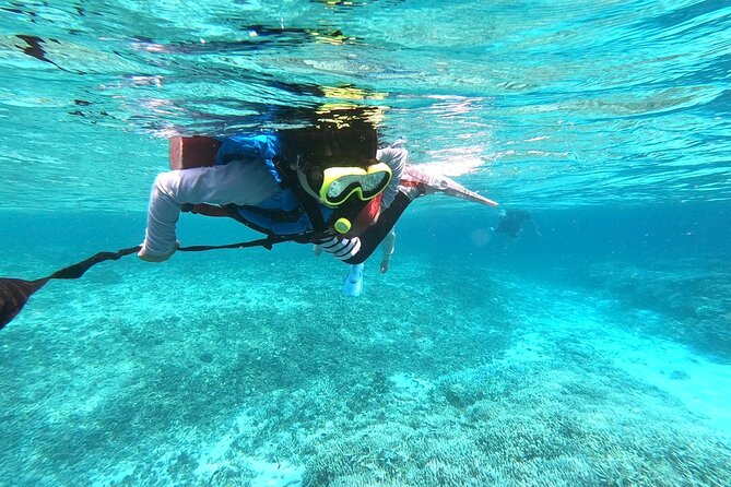 Snorkeling Tour at Coral Island, Iriomote, Okinawa - Participant Requirements