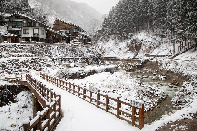 Snow Monkey, Zenko Ji Temple, Sake in Nagano Tour - Accessibility and Group Size