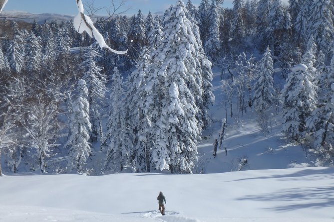 Snowshoe Hike Tour From Sapporo - Cancellation Policy and Refunds