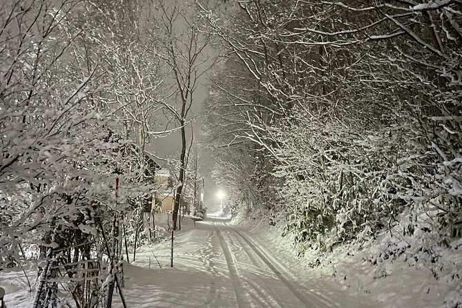 Snowshoeing Adventures in a Winter Wonderland - Sapporo - Getting to the Pickup Location