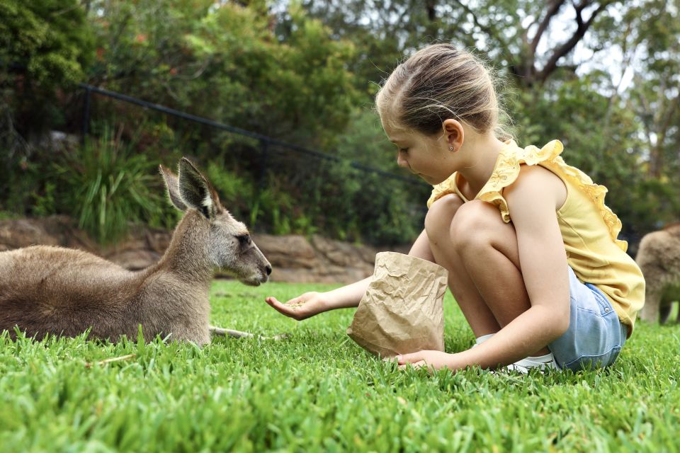 Somersby: Australian Reptile Park Day Pass - 9am to 5pm - Park Accessibility and Highlights