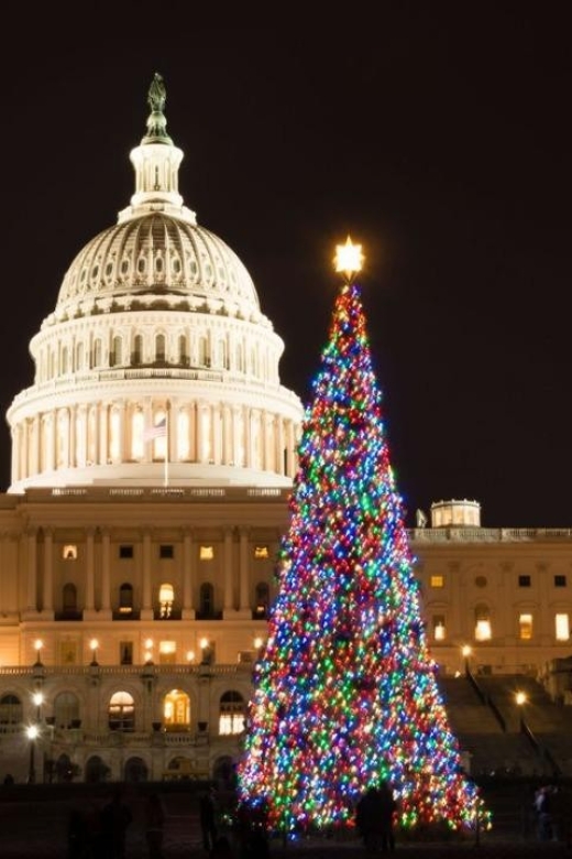 Special Christmas Tour in Washington - Tour Experience