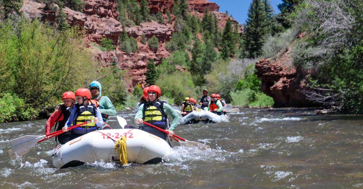 Telluride Whitewater Rafting - Full Day With Lunch - Paddling and On-River Experience