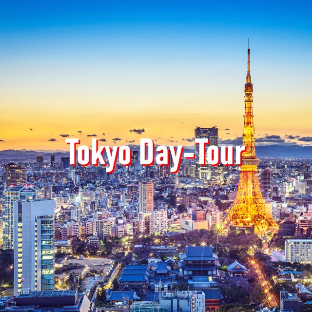 Tokyo: 10-Hour Customizable Private Tour With Hotel Transfer - Pickup and Drop-off Options