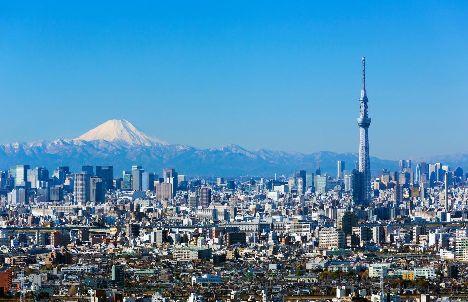 Tokyo, Fuji, Hakone, Kamakura: Private Guide & Car Full-Day Trip - Transportation and Guides