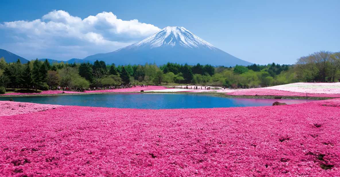 Tokyo: Mt. Fuji Festival, Ropeway, & Fruit Picking Day Trip - Inclusions