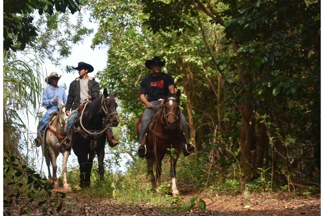 West Maui Mountain Waterfall and Ocean Tour via Horseback - Riding Experience Information