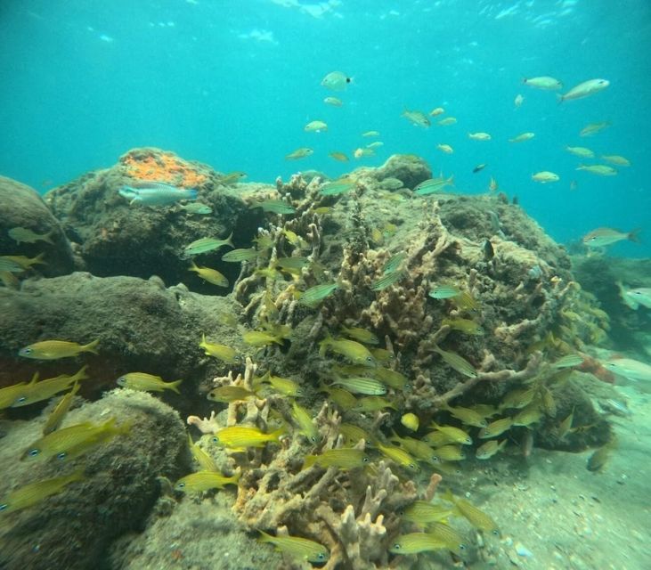 West Palm Beach: Private Peanut Island Boat & Snorkel Tour - Important Information