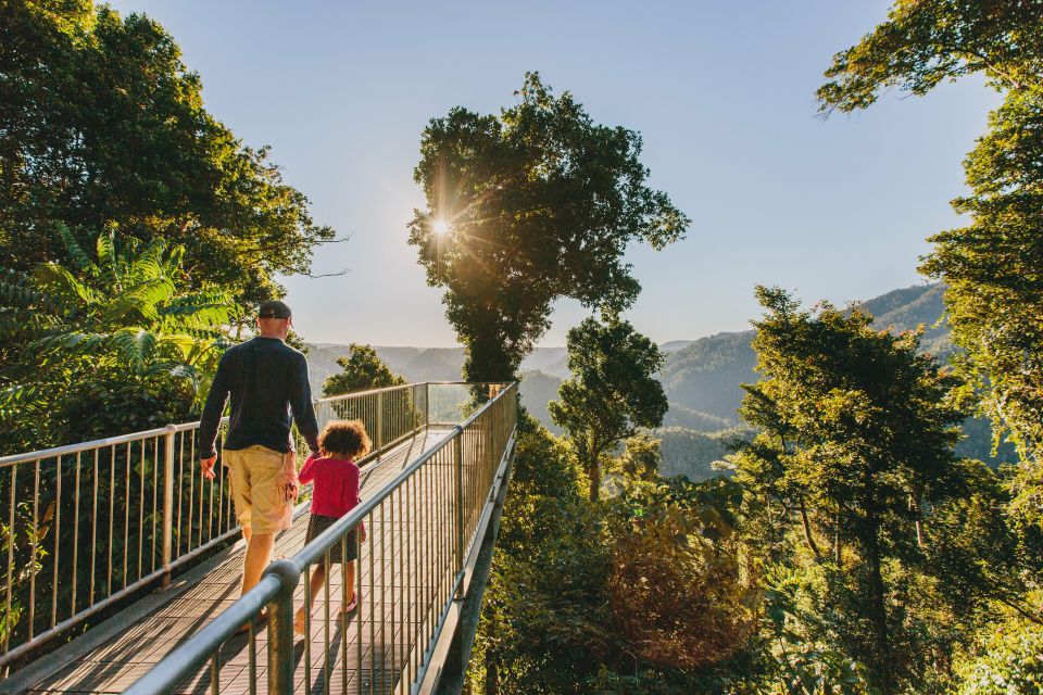 Wooroonooran National Park: Mamu Tropical Skywalk Admission - Detailed Description of the Skywalk