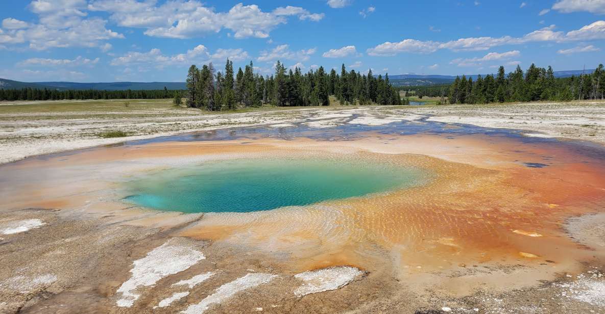 Yellowstone National Park Private Day Tour - Group Size and Logistics