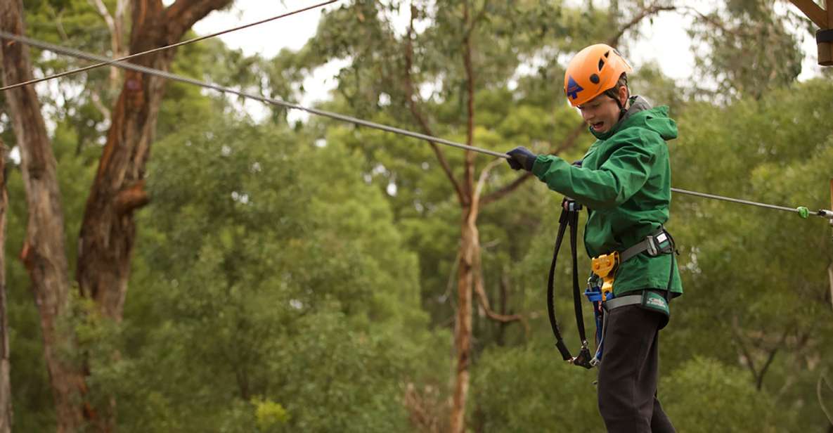Yeodene: Tree Ropes Courses - Booking Information