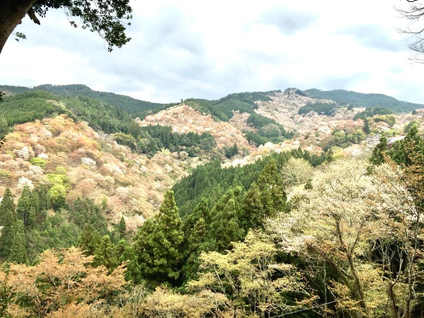 Yoshino: Private Guided Tour & Hiking in a Japanese Mountain - Pickup and Transportation