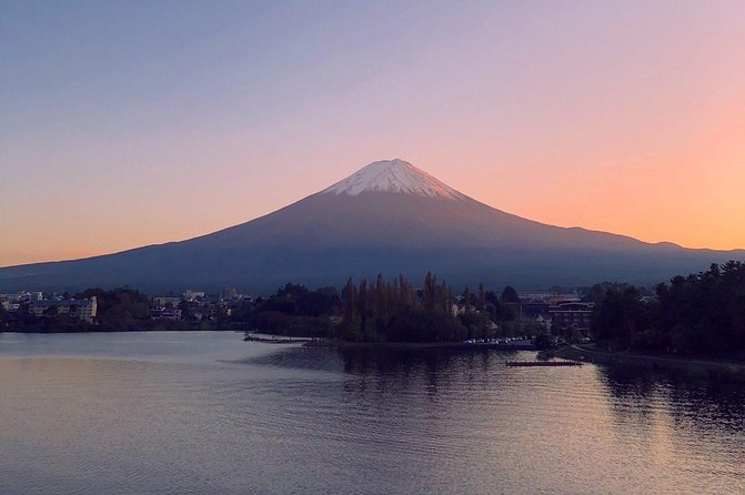 1 Day Charter Tour to Mt Fuji View - Customizable Itinerary