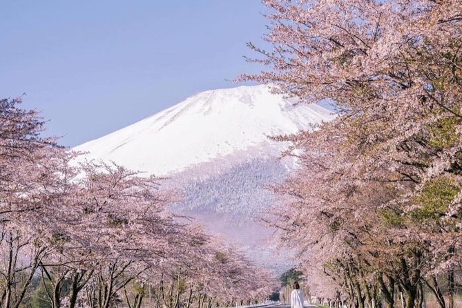 1 Day Fully Customized Tour to Mt Fuji With English & Hindi Speak - Guest Experiences