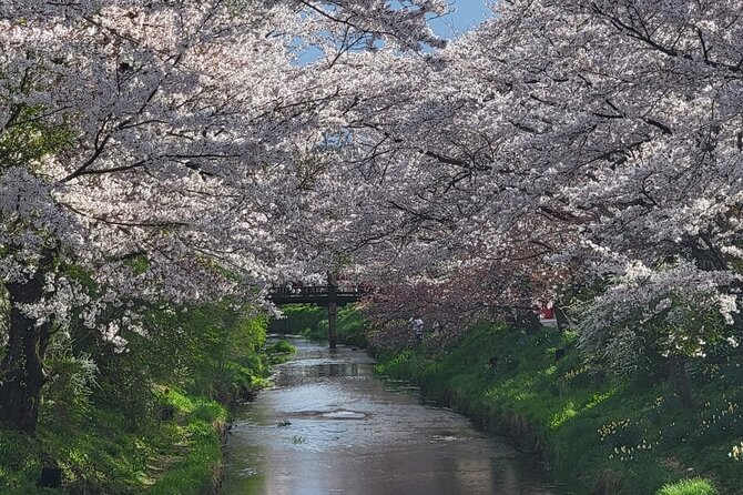 1 Day Tour Mt Fuji,Lake Kawaguchiko With English Speaking Guide - Reviews