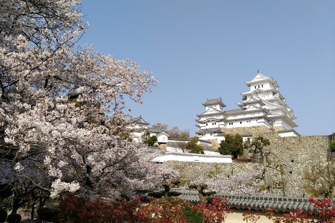 2.5 Hour Private History and Culture Tour in Himeji Castle - Tour Specifics