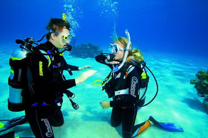 3-Hour Guided PADI Scuba Diving Experience in Tenerife - Warm Water Dive in Tenerife