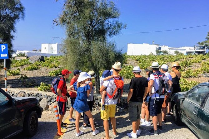 6-Hour Private Best of Santorini Experience - Booking Information