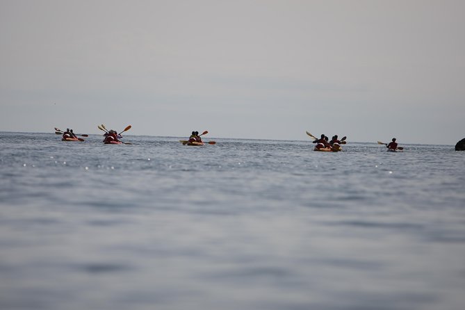 Adventure Dalmatia - Sunset Sea Kayaking & Snorkelling Old Town - Snorkeling in the Adriatic Sea