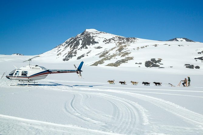 Alaska Helicopter and Glacier Dogsled Tour - ANCHORAGE AREA - What To Expect