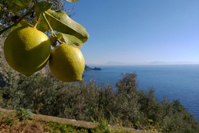 Amalfi Coast Home Cooking Class With Meal & Drinks Included - Meeting and Pickup Location