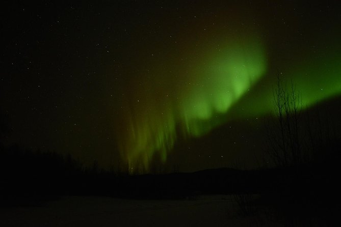 Arctic Circle and Northern Lights Tour From Fairbanks - Customer Reviews