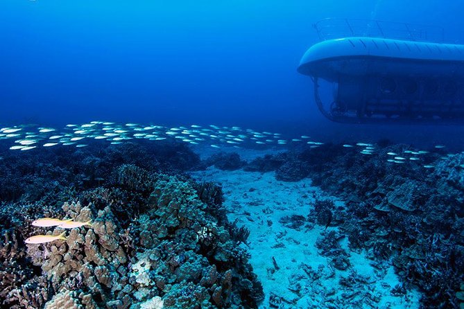 Atlantis Submarine From Kona Beach - Positive Reviews