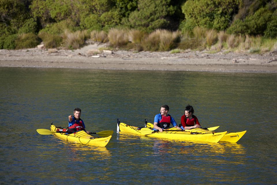 Auckland: Half-Day Sea Kayak Tour to Motukorea Island - Requirements and Recommendations