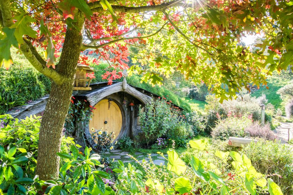 Auckland: Hobbiton Movie Set Tour With Lunch - Important Information