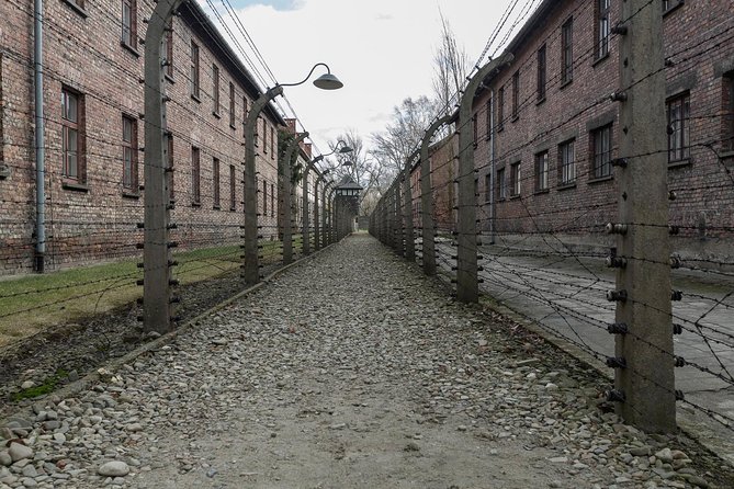 Auschwitz-Birkenau & Wieliczka in One Day Half Private Tour - Visitor Information and Recommendations