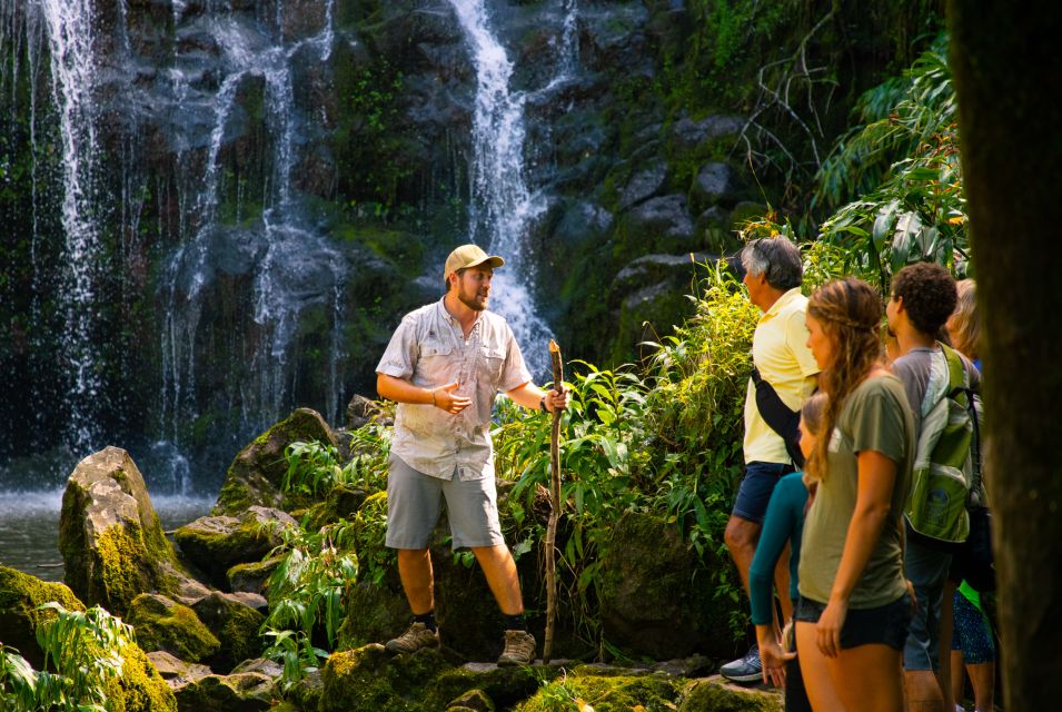 Big Island: Full Day Adventure Tour of the Kohala Waterfalls - Customer Reviews