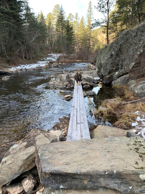 Black Hills: Private Tour of Mt. Rushmore & Flume Trail Hike - Important Information