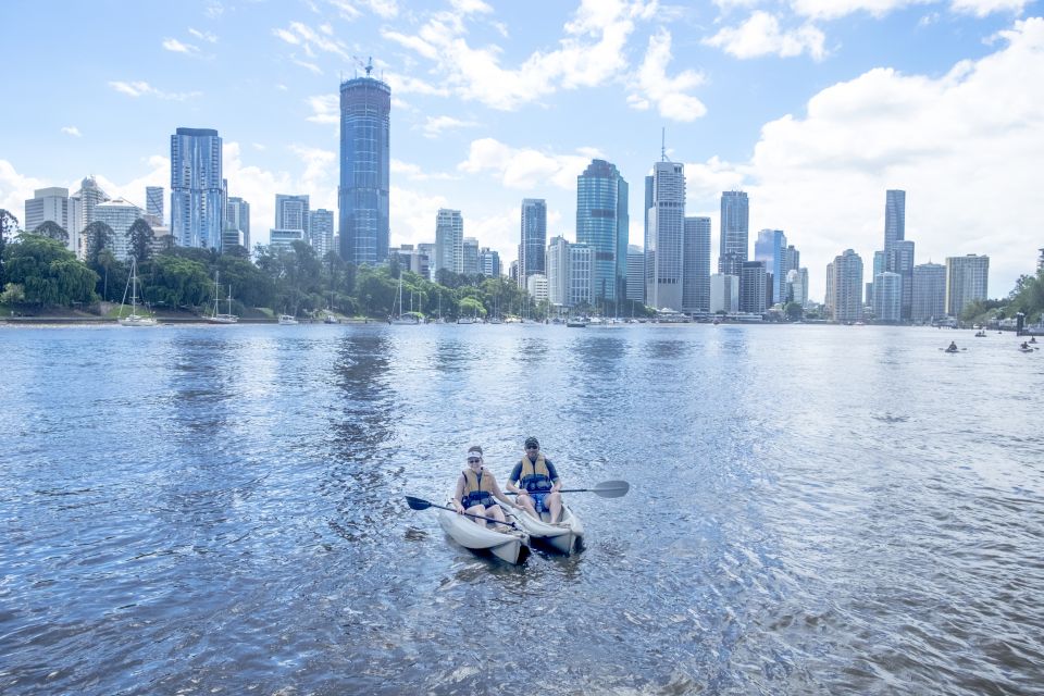 Brisbane: Guided River Kayak Tour - Highlights