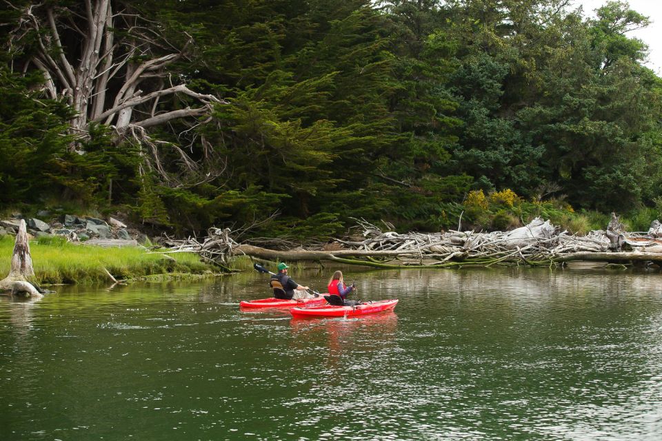Brookings: Chetco River Kayak Tour - Getting to the Tour