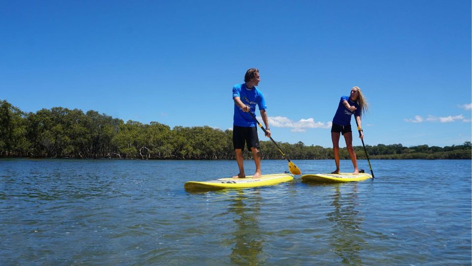Byron Bay: Group 2.5 Hour Stand-Up Paddle Board Tour - Booking Information
