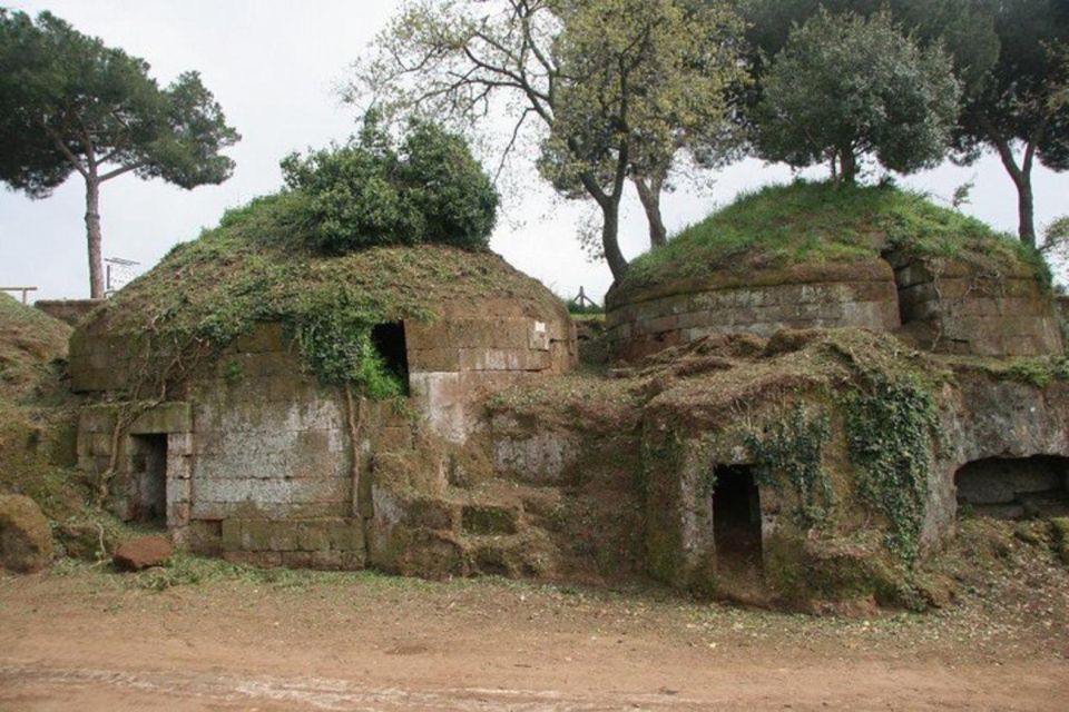 Cerveteri - the Etruscan Necropolis Private Tour From Rome - Booking Information