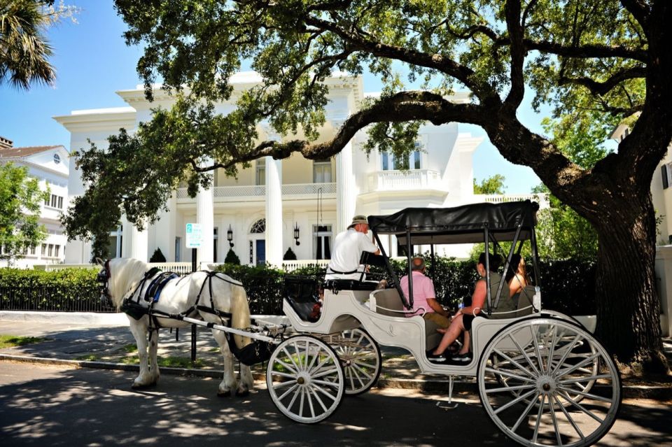 Charleston: Private Carriage Ride - Charlestons History and Architecture