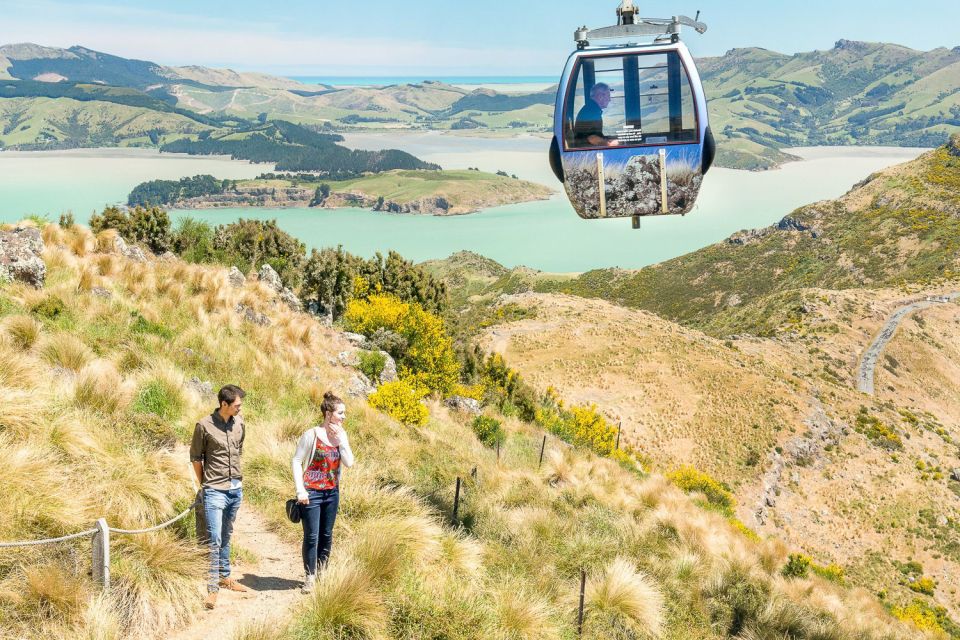 Christchurch Gondola and Tram City Tour Combo - Important Guidelines