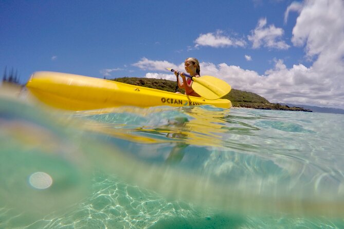 Circle Island North Shore Adventure Tour + Snorkeling - Tour Guide Experience