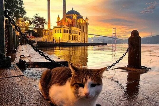 Circle Istanbul (Extraordinary Istanbul) - Recommendations
