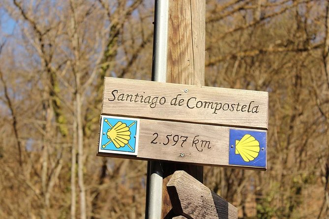 Day Trip From Porto to Santiago De Compostela and Valença - Trip Experience