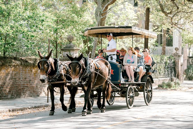 Daytime Horse-Drawn Carriage Sightseeing Tour of Historic Charleston - Additional Information