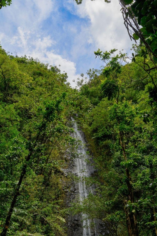 Diamond Head Manoa Falls - Scenic Highlights