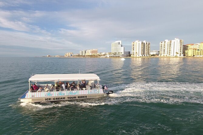 Dolphin Boat Tour in Clearwater Beach With Free Ice Cream - Customer Reviews