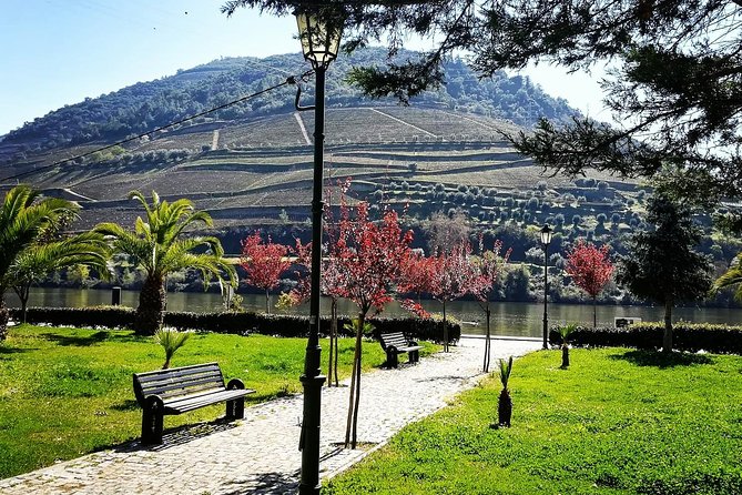 Douro Valley: Food and Wine Small Group Tour From Porto - Relaxing River Cruise