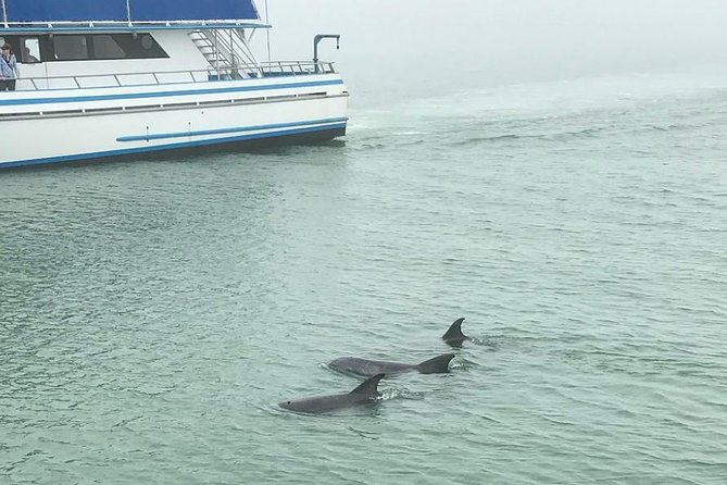 Eco and Dolphin Watch Tour of South Padre Island - Location Details